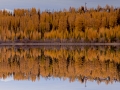 Осень в Якутии